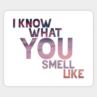 What You Smell Like (sunset) Magnet